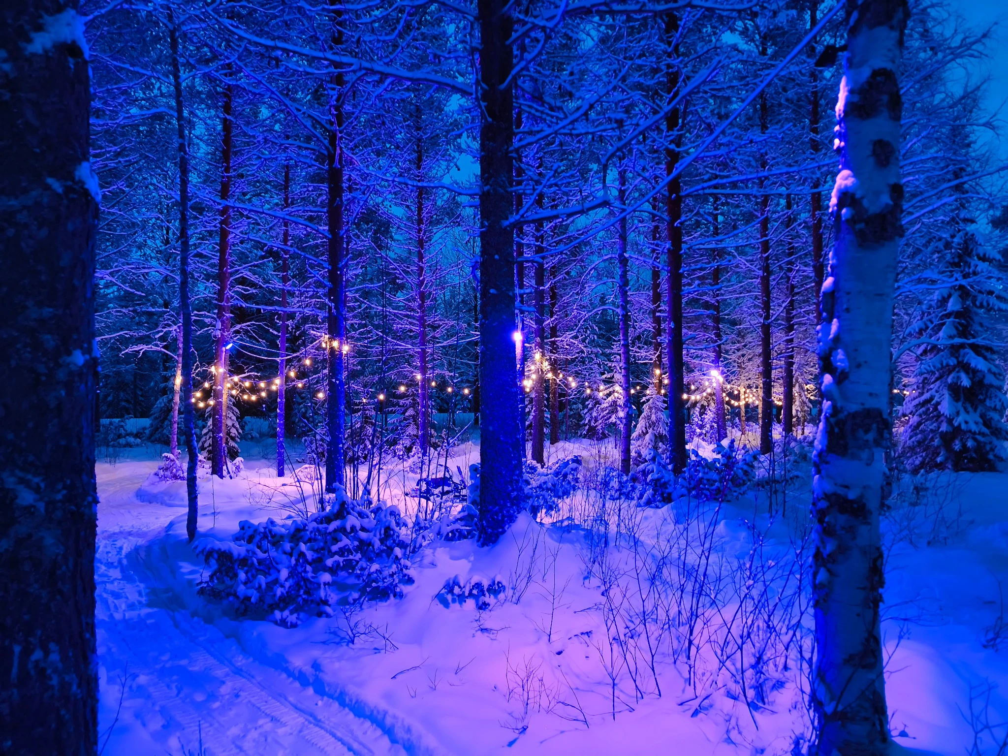 Enfants sur mini motoneiges décorées en rennes à Santa Forest Rovaniemi