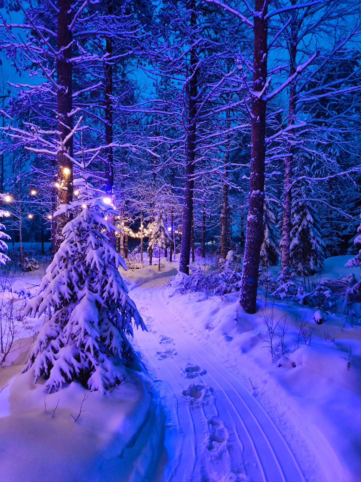 Balade en mini motoneiges électriques dans la forêt enneigée de Santa Forest